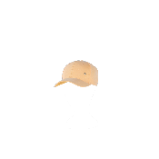 Casquette tendance irisée - SORBETTE Pêche