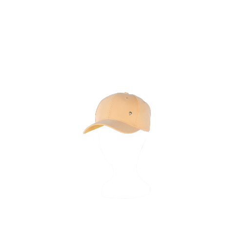Casquette tendance irisée - SORBETTE Pêche