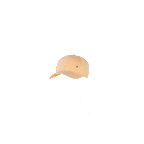 Casquette tendance irisée - SORBETTE Pêche